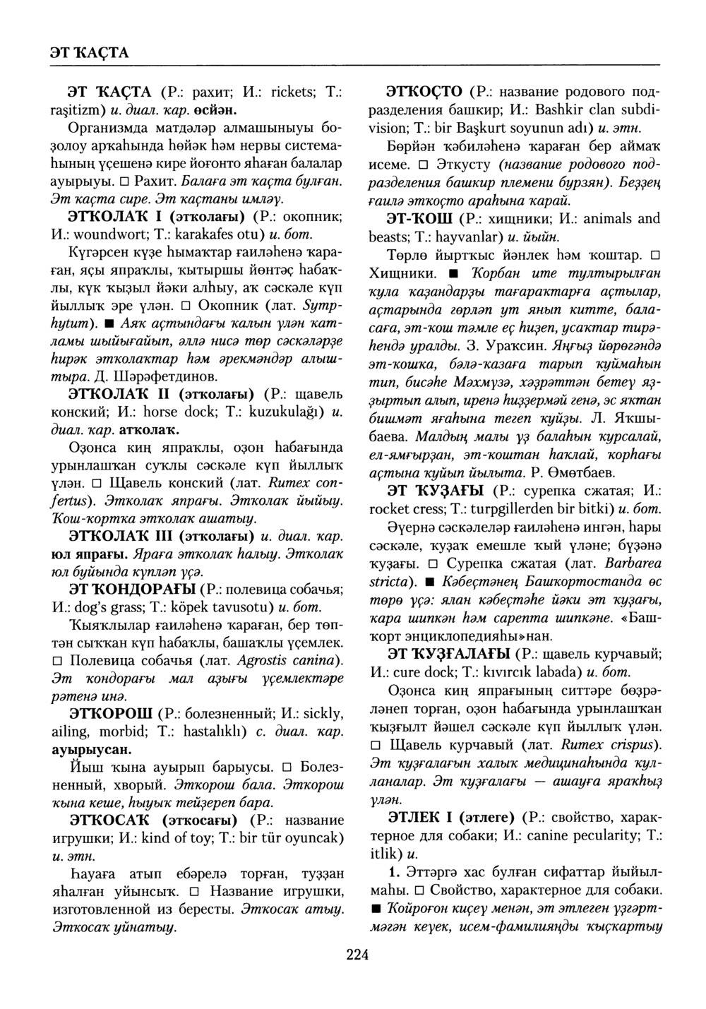 Башҡорт теленең академик һүҙлеге. Том X