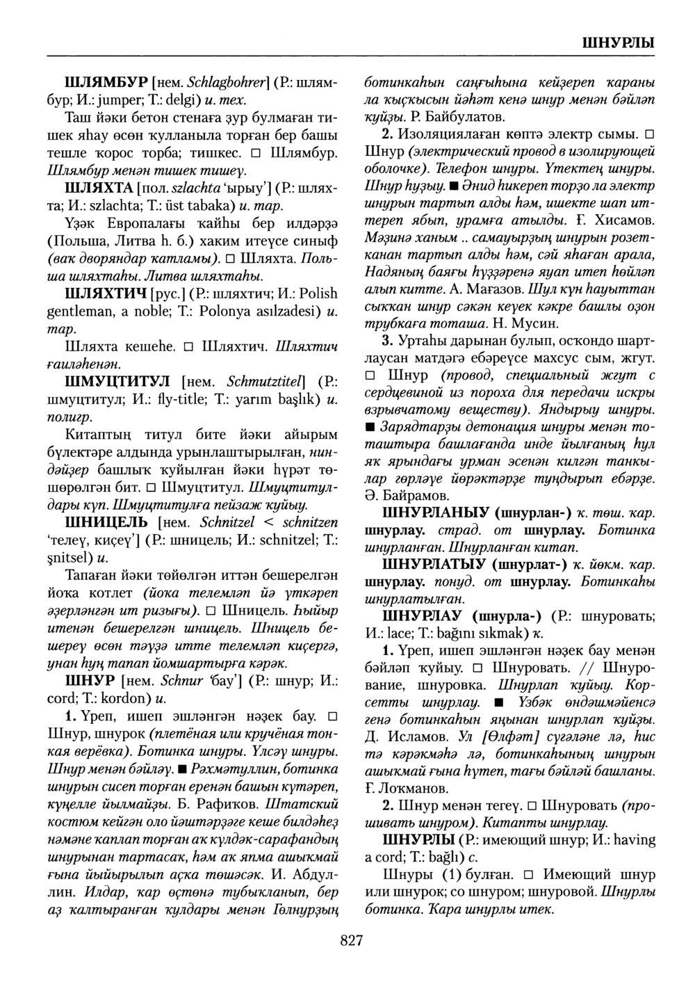 Башҡорт теленең академик һүҙлеге. Том IX